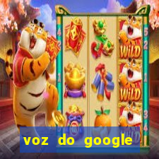 voz do google tradutor homem